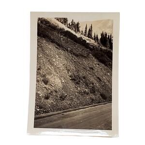 Vtg B&W Photo 1940s Found Yellowstone National Park Fawn Near Road Snapshot